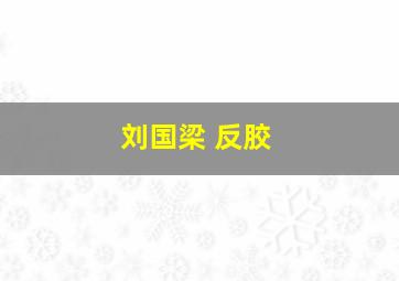 刘国梁 反胶